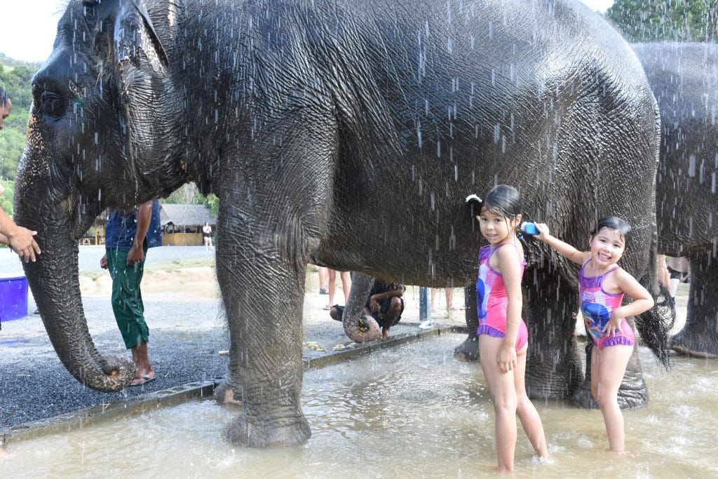 Green Elephant Sanctuary Park