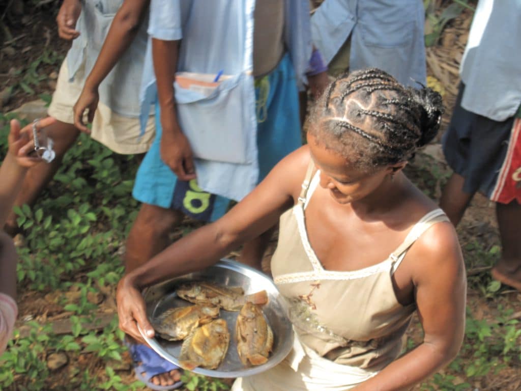 Madagascar's Train Trip