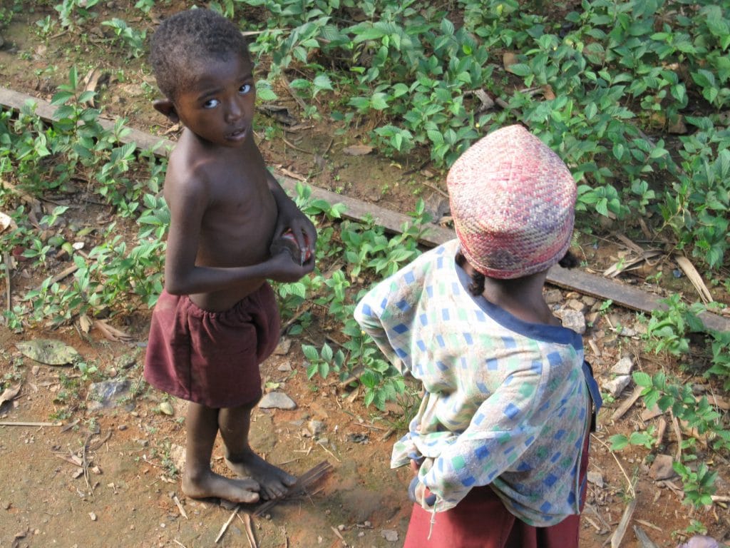 Madagascar's Train Trip