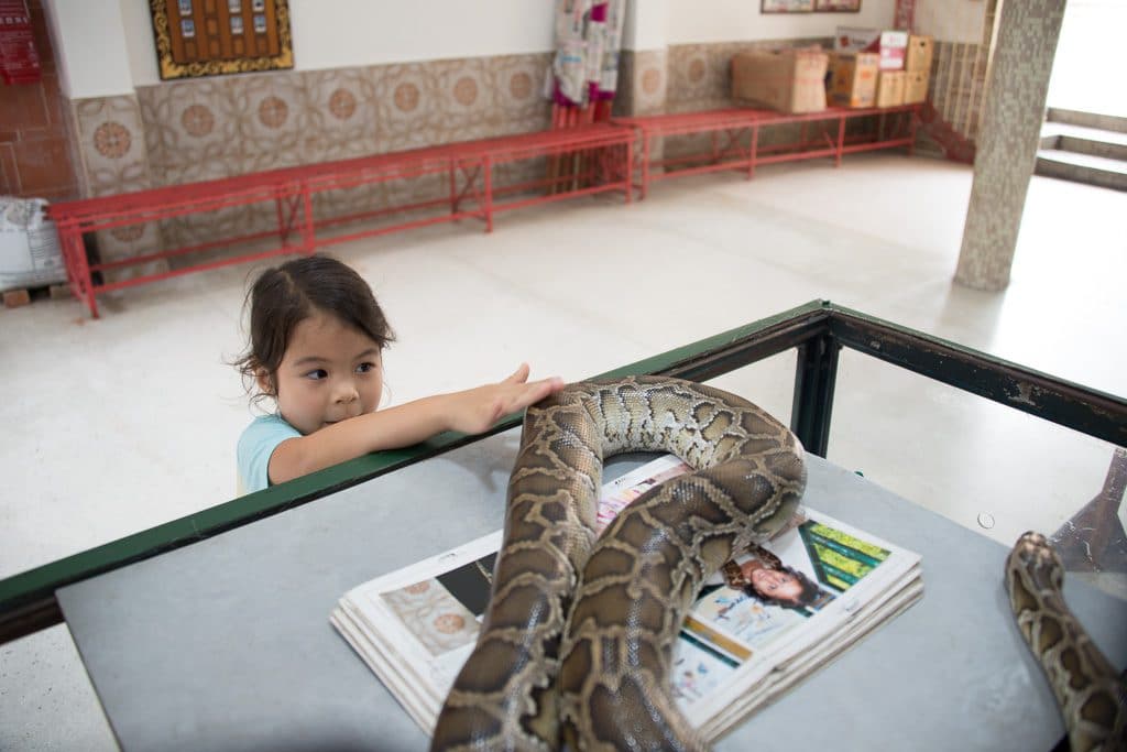 Snake Temple Penang