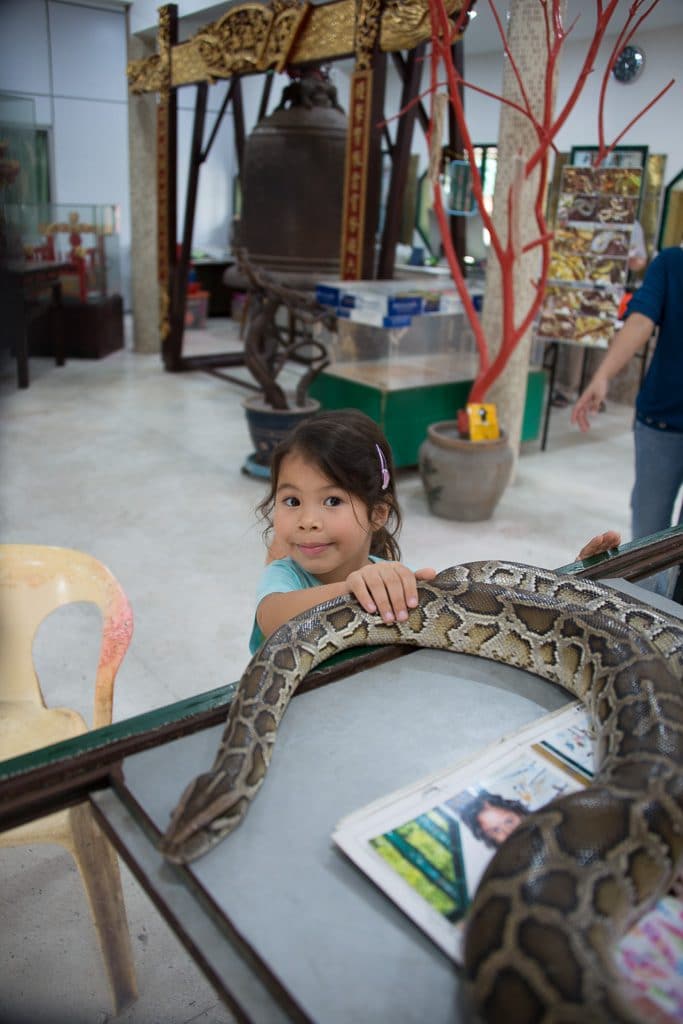 Snake Temple Penang