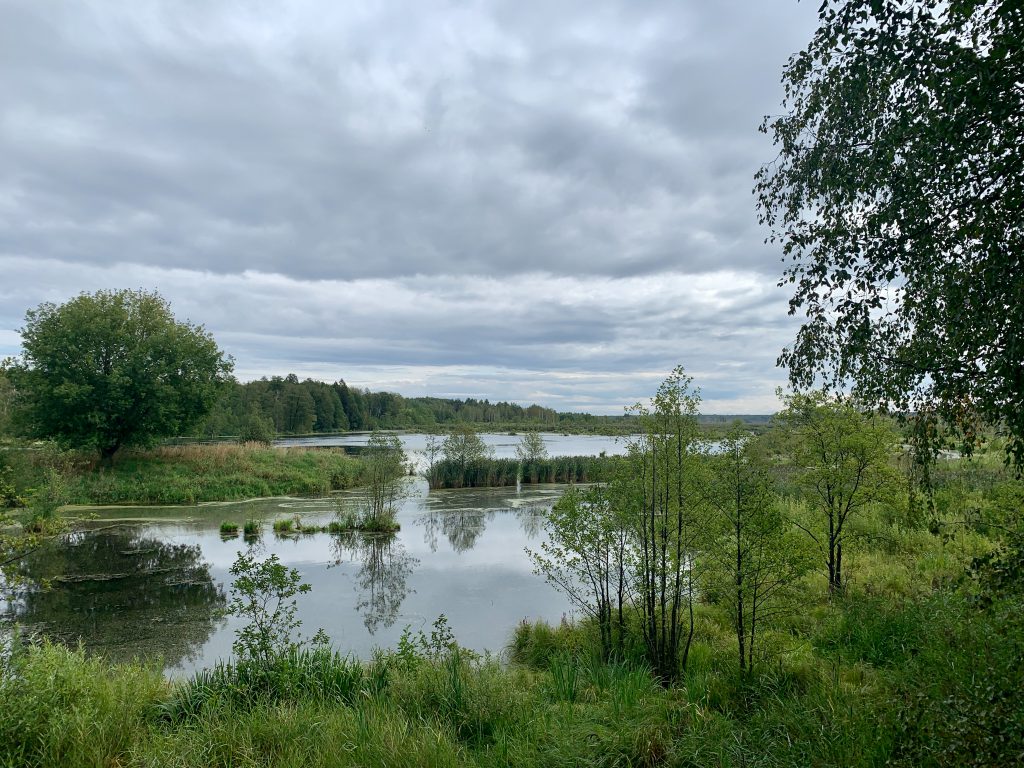 Elk Island - Landscape